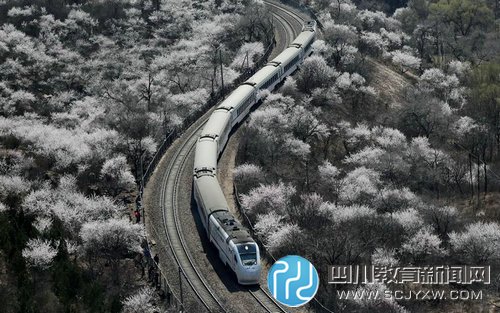 广东4小学生铁轨上设障碍物 逼停火车1