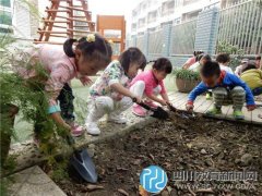 二十三幼家长义工活动“播种希望，收获