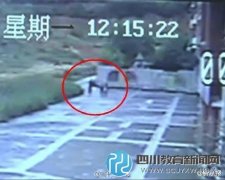 南宁2名小学女生放学路上被男子性侵