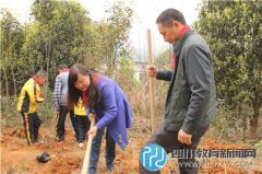 成都抚琴小学：相约植树节  “金邛联盟