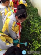 双水小学东区学子植树节播种向日葵