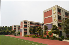 青白江区实验小学