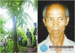 深圳爷孙疑遭劫杀：爷爷挂尸树上 孙子浮