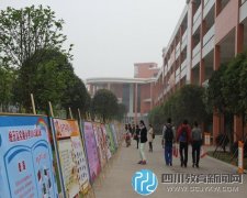 龙泉驿区中小学品格教育推进会在成都经