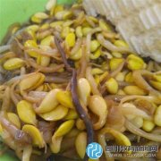 山东一大学食堂饭菜吃出蚯蚓 学校：进菜